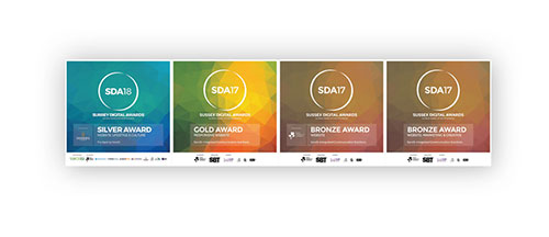 5and3 Gold and Silver website awards