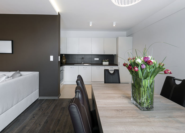 luxury mews houses and apartments life style imagery
